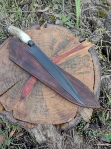 IMG_20220909_155620720_HDR