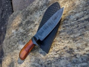 IMG_20230731_155034038_HDR