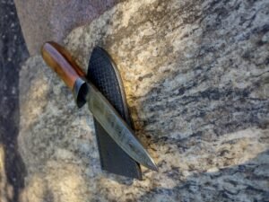 IMG_20230731_155055452_HDR